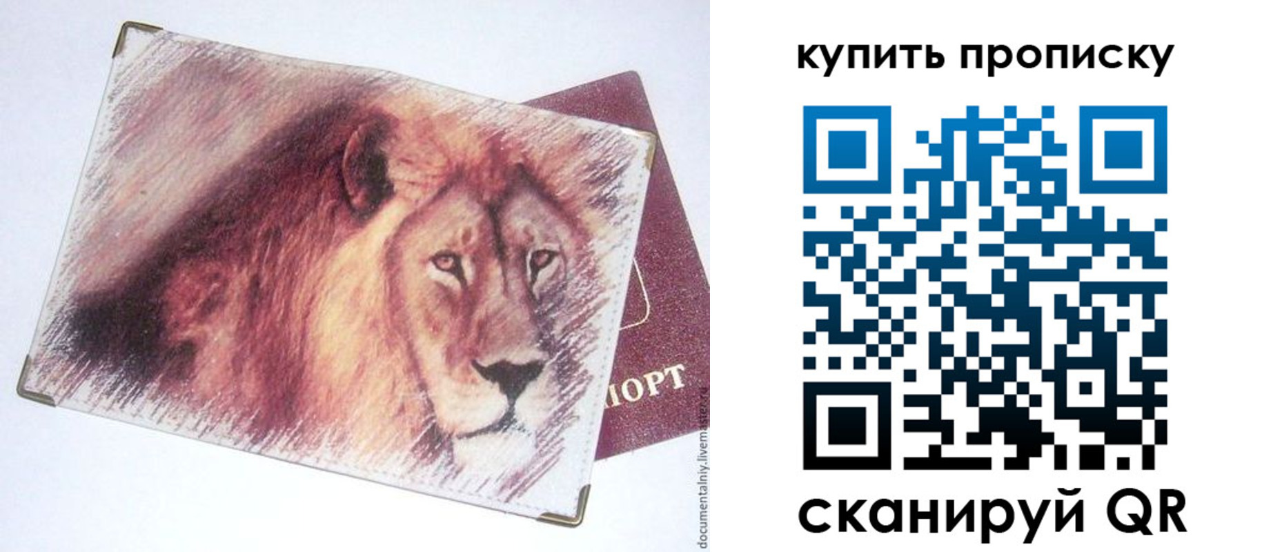 прописка паспорт в Шлиссельбурге
